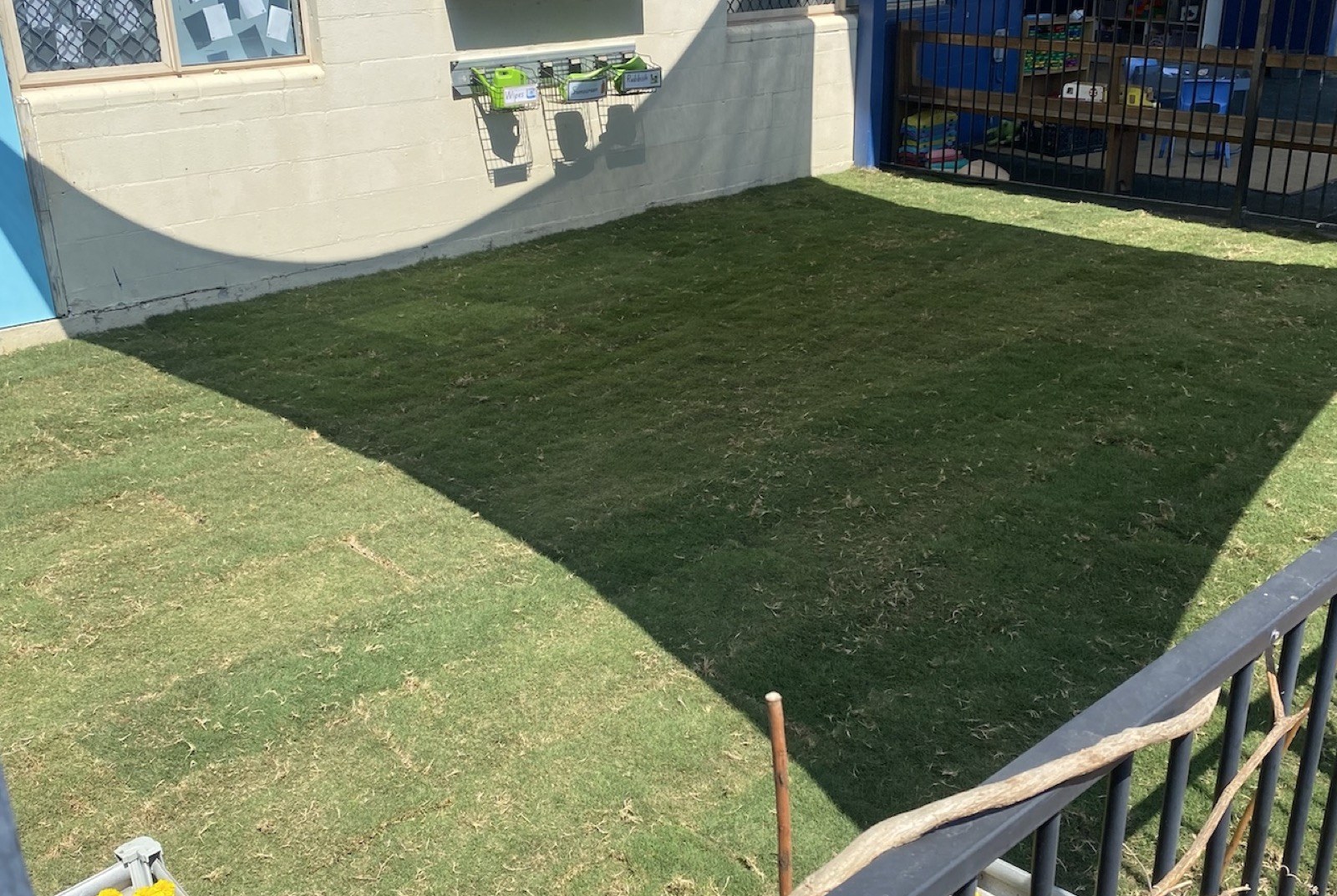 A lush 6Foot lawn in Townsville